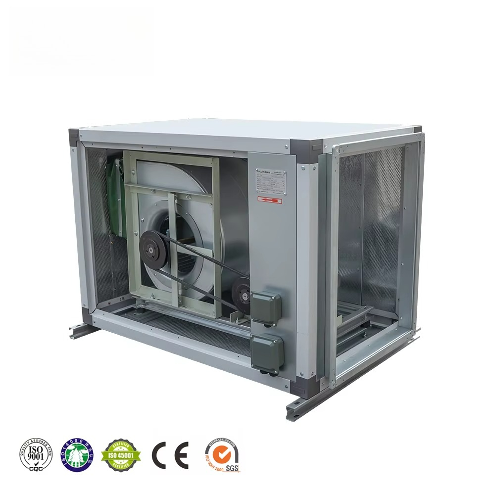 Commercial Kitchen Ventilation System - Ocenzurowane wyposażenie do systemów wentylacji w